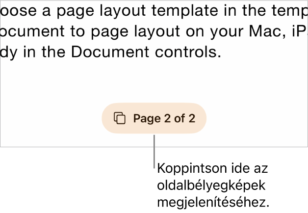 Egy megnyitott dokumentum az oldalszám gombbal a képernyő aljának közepén.