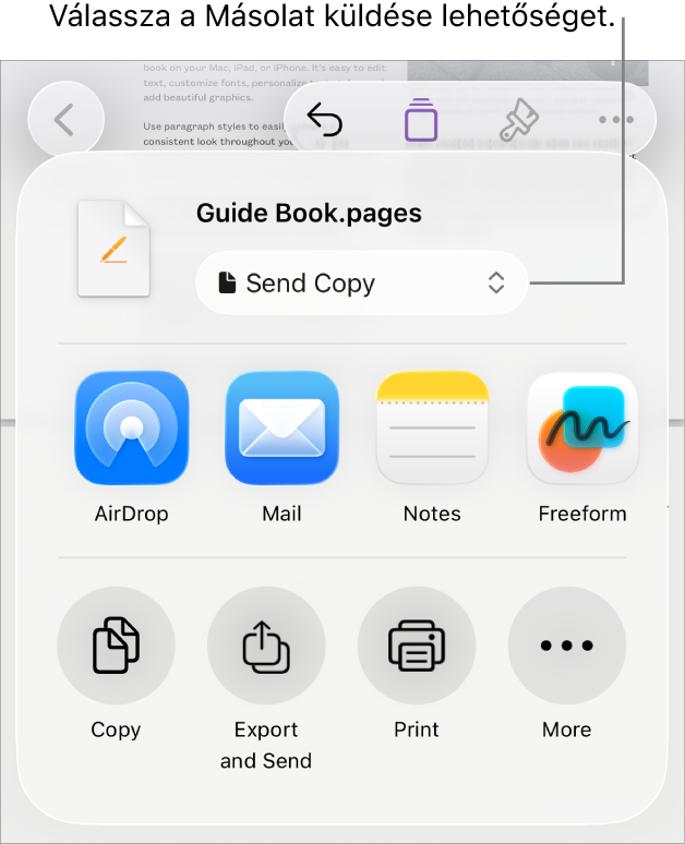 A Megosztás menü a felül elhelyezkedő Másolat küldése lehetőséggel.