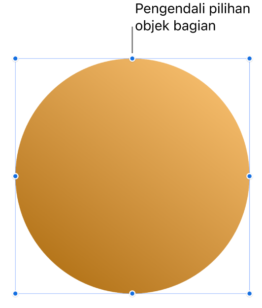 Objek dengan pengendali pilihan.