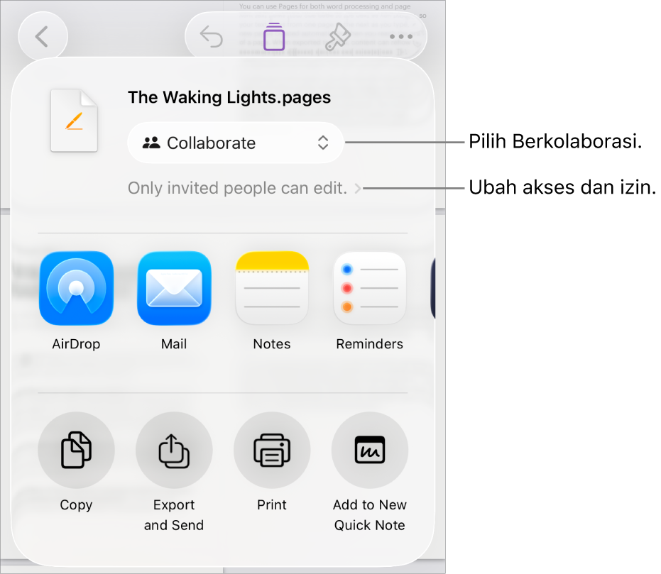 Menu Bagikan dengan Kolaborasi dipilih di bagian atas, dan pengaturan dan izin di bawahnya.
