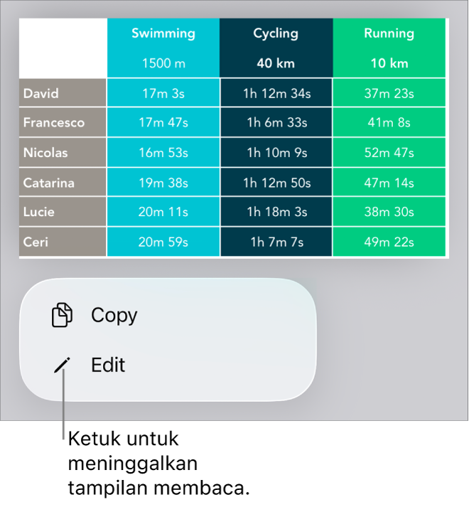 Tabel dipilih, dan di bawahnya terdapat menu dengan tombol Salin dan Edit.