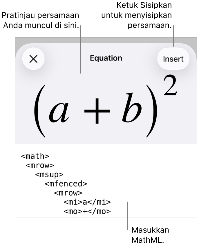 Dialog Persamaan, menampilkan sebuah persamaan ditulis menggunakan perintah MathML, dan pratinjau formula di atas.