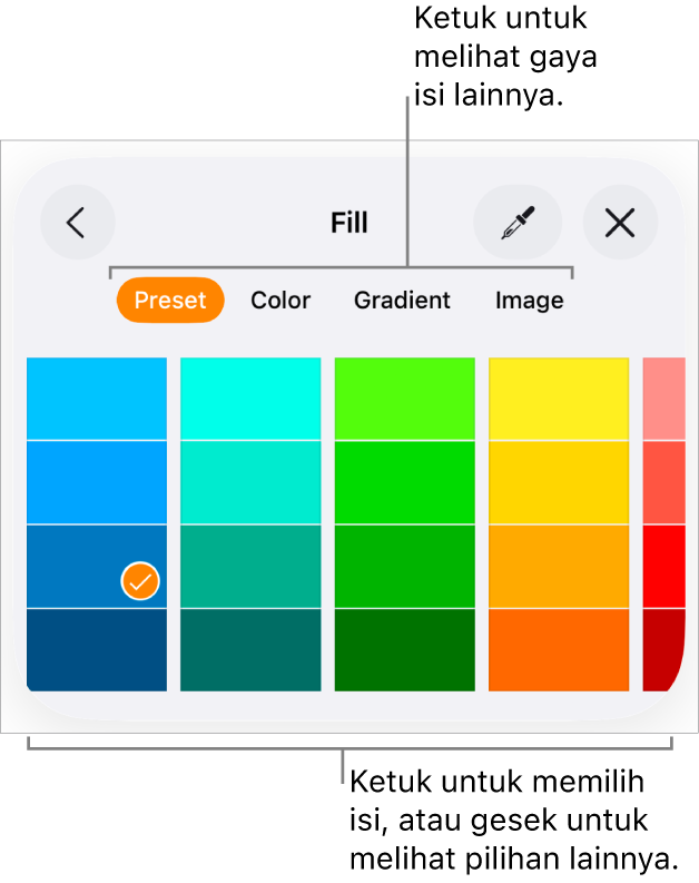 Pilihan Isi di tab Gaya pada tombol Format.