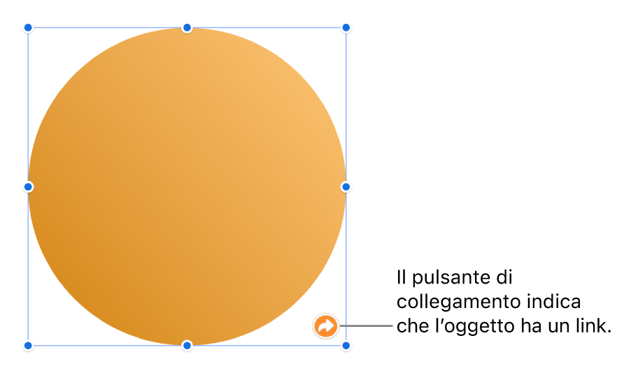 Pulsante di un link su una forma.