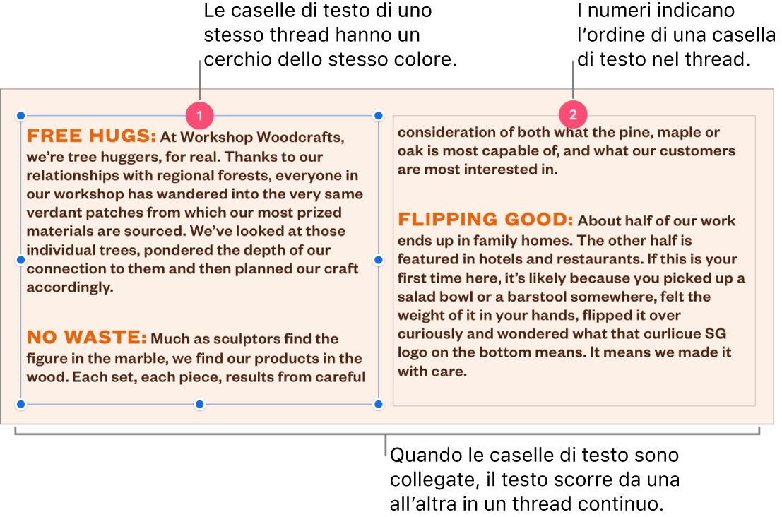 Due caselle di testo con cerchi viola nella parte superiore e i numeri 1 e 2 nei cerchi.