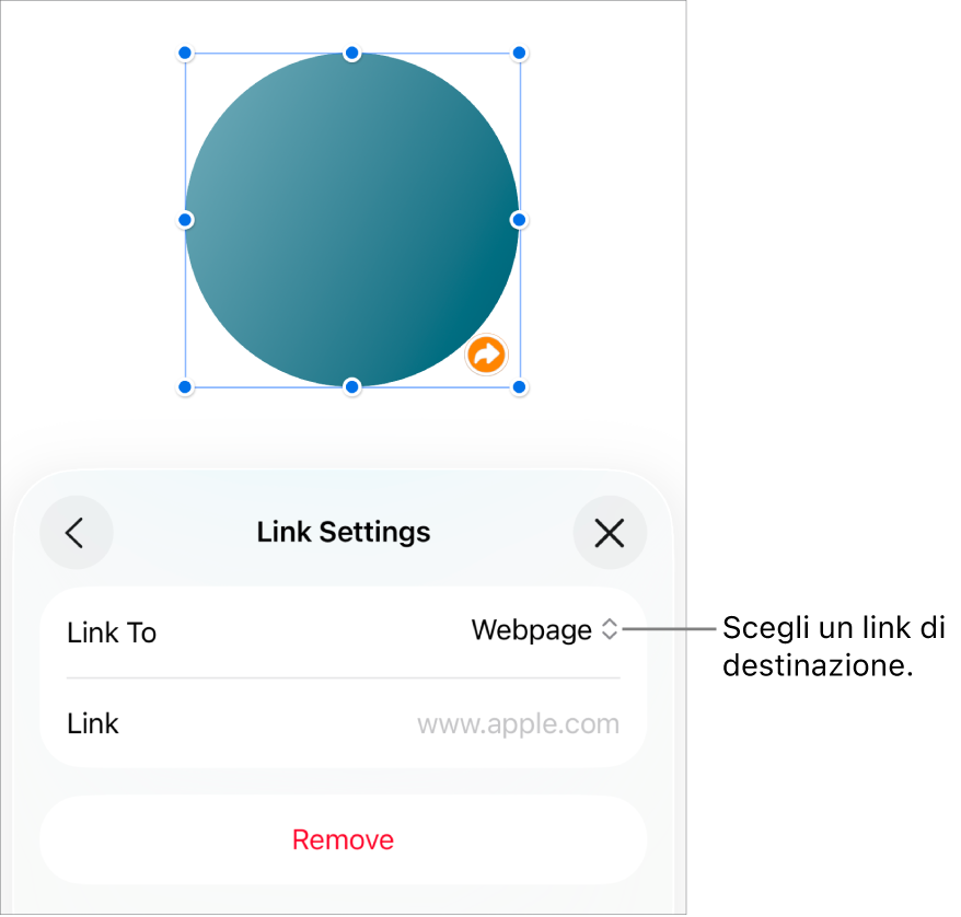 I controlli delle impostazioni dei link con la pagina web selezionata e con il pulsante per rimuovere il link mostrato in basso.