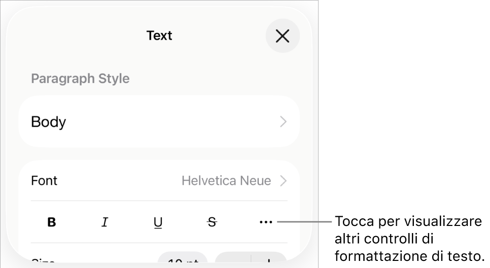 Il pannello Testo dei controlli di Formattazione con una didascalia per il pulsante “Altre opzioni di testo”.
