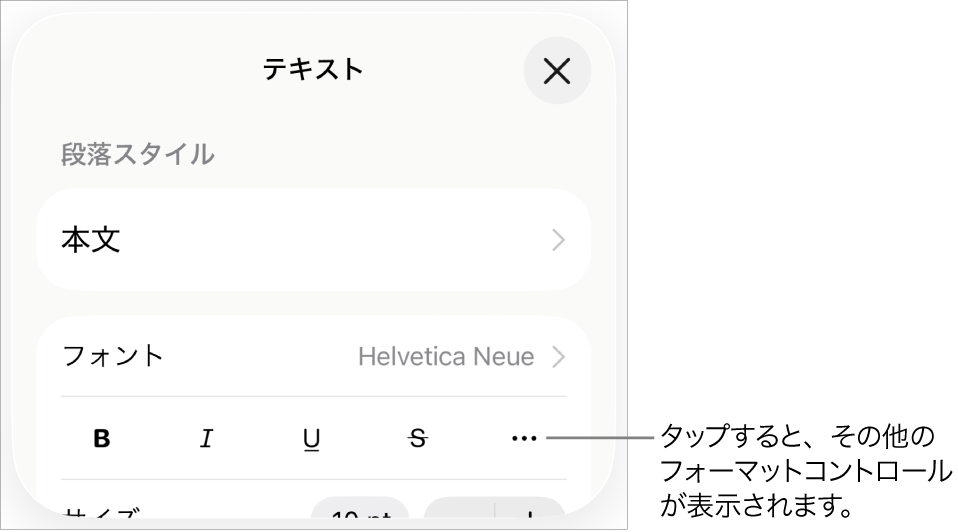 「フォーマット」コントロールの「テキスト」タブ。「その他のテキストオプション」ボタンへのコールアウトが表示された状態。