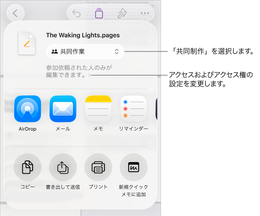 「共有」メニュー。上部の「共同作業」が選択されていて、下に参加対象とアクセス権の設定があります。