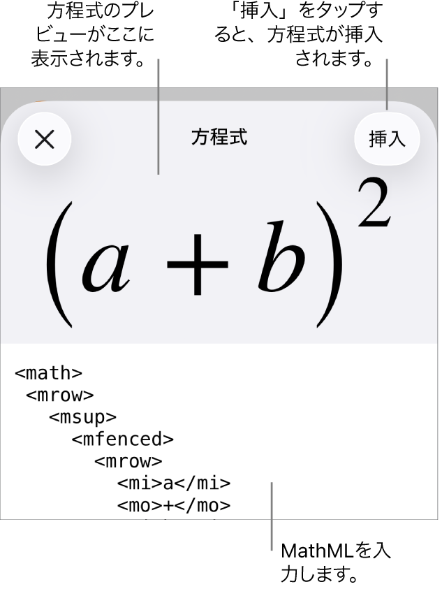 「方程式」ダイアログ。MathMLコマンドを使用して書き込まれた方程式が表示され、その上に公式のプレビューが表示されています。