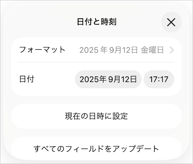 「日付と時刻」コントロール。日付の「フォーマット」のポップアップメニューと、「現在の日時に設定」ボタンおよび「すべてのフィールドをアップデート」ボタンが表示された状態。