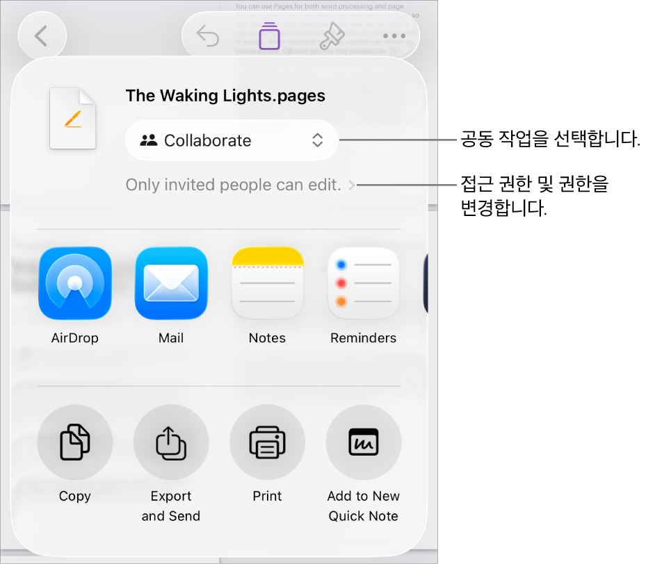 상단에 공동 작업이 선택되어 있는 공유 메뉴가 있고, 그 아래에는 접근 및 권한 설정이 있음.
