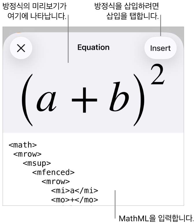 MathML 명령어를 사용하여 적은 방정식 및 그 위에 공식 미리보기를 표시하는 방정식 대화상자.