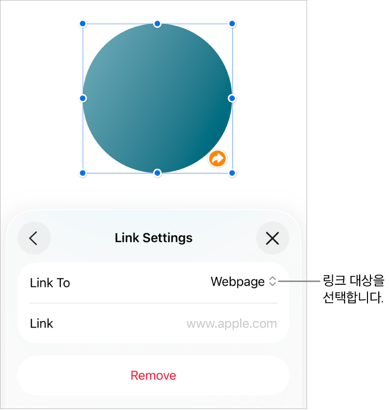 웹 페이지가 선택되어 있고, 하단에 제거 버튼이 있는 링크 설정 제어기.
