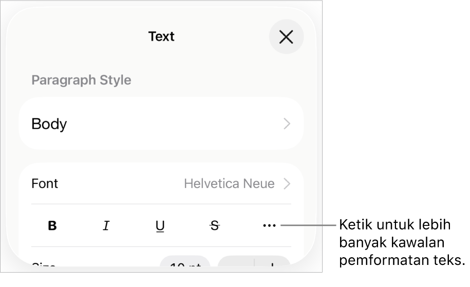 Tab Teks kawalan Format, dengan petak bual ke butang Lebih Banyak Pilihan Teks.