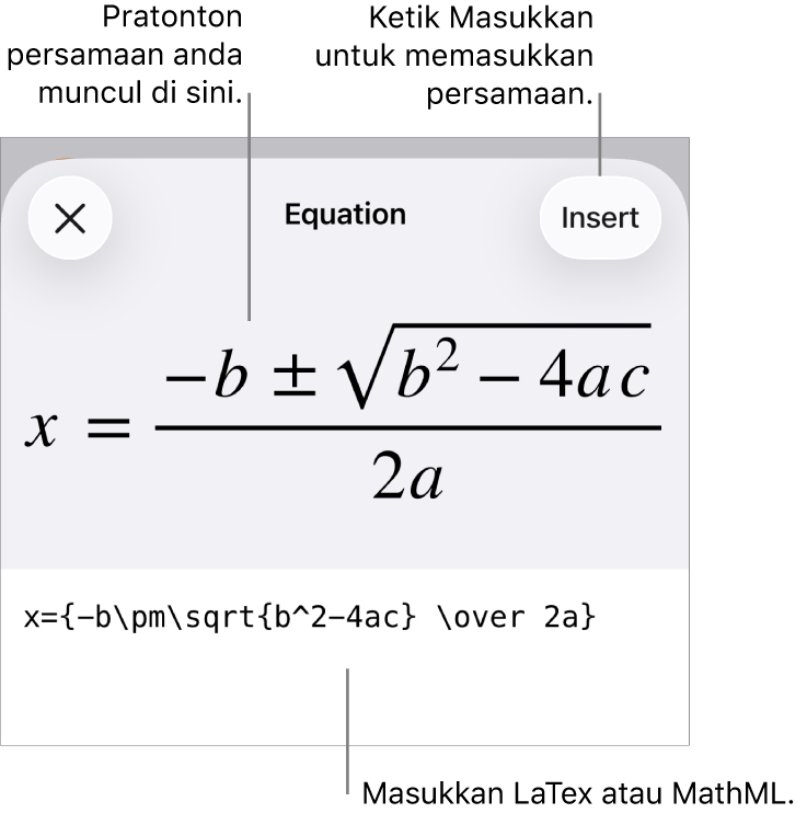 Dialog Persamaan, menunjukkan persamaan yang ditulis menggunakan perintah MathML manakala pratonton formulanya di atas.