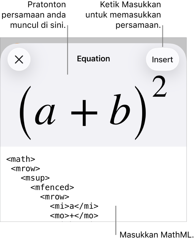 Dialog Persamaan, menunjukkan persamaan yang ditulis menggunakan perintah MathML manakala pratonton formulanya di atas.