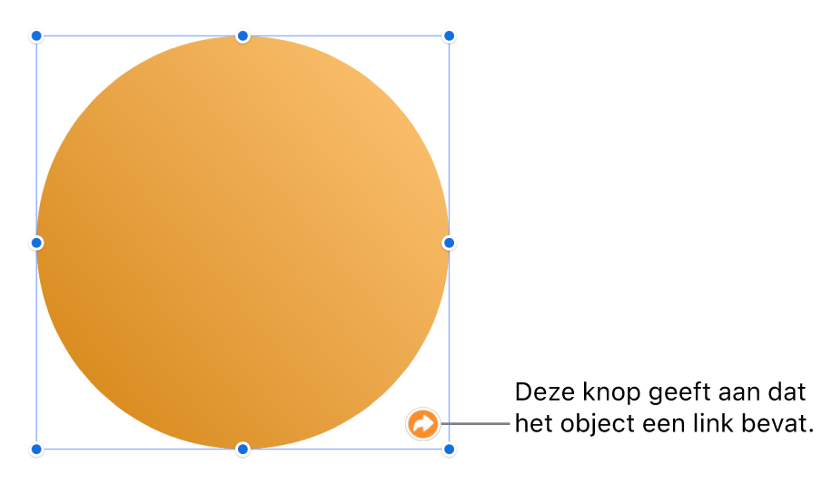 Een knop met een link op een vorm.