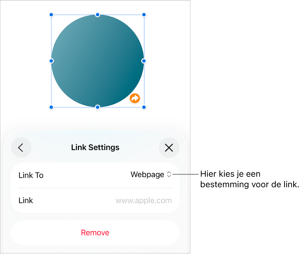 De regelaars voor linkinstellingen. 'Webpagina' is geselecteerd en onderaan staat de knop 'Verwijder'.
