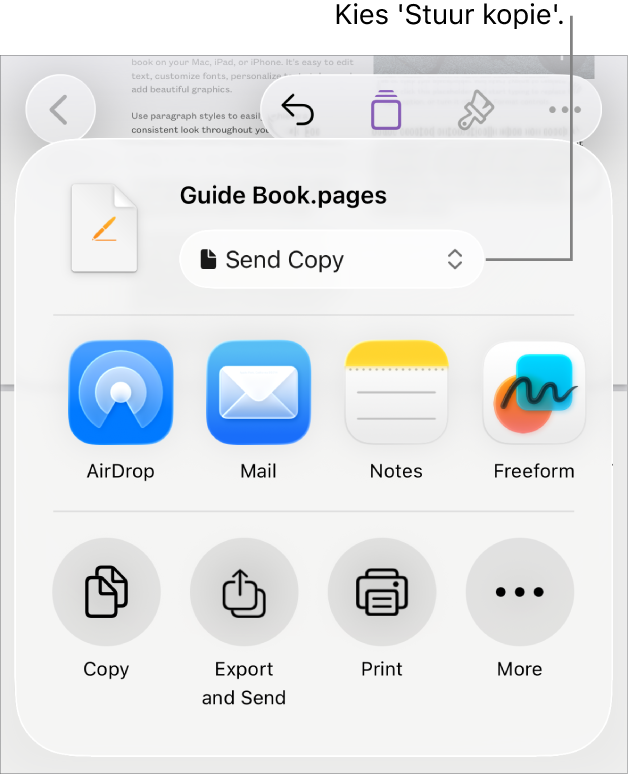 Het Deel-menu waarin bovenin 'Stuur kopie' is geselecteerd.
