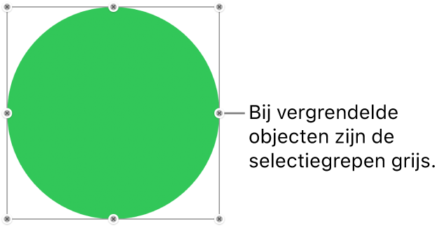 Een vergrendeld object met gedimde selectiegrepen.