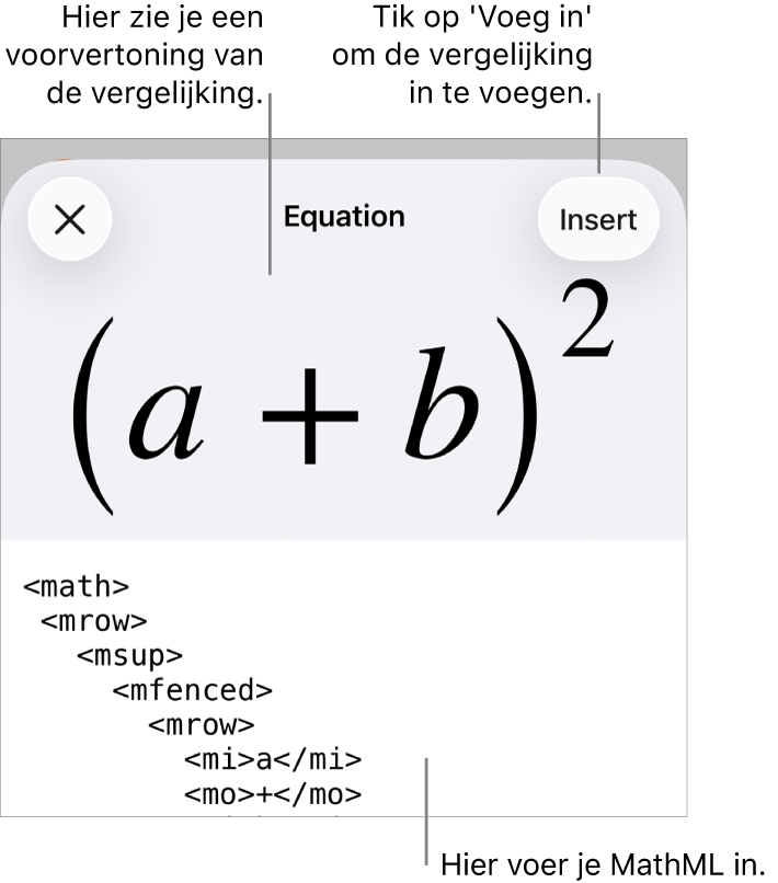 Het venster 'Vergelijking' met daarin een vergelijking die geschreven is met MathML-commando's en erboven een voorvertoning van de formule.