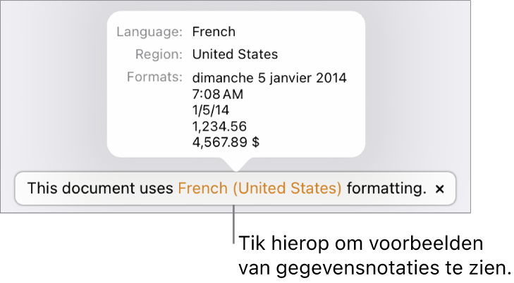 De melding van de afwijkende taal en regio, met voorbeelden van de opmaak in die taal en voor die regio.