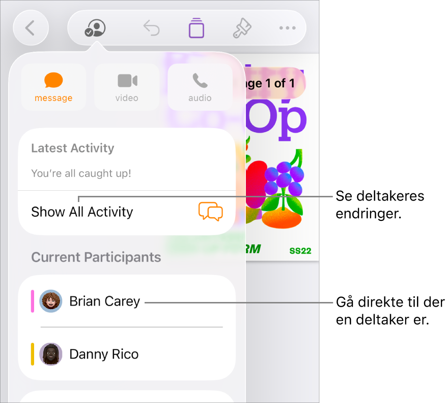 Samarbeidsmenyen, som viser gjeldende deltakere.