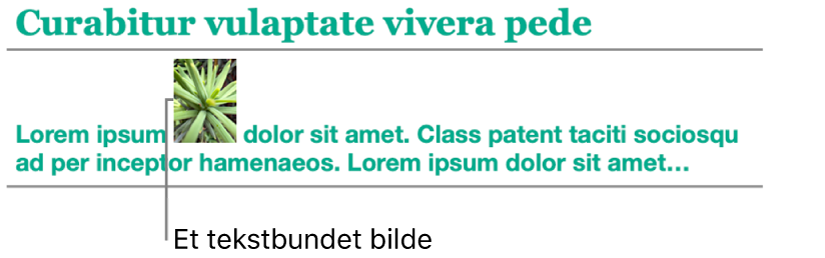 Et bilde plasseres bundet til teksten.