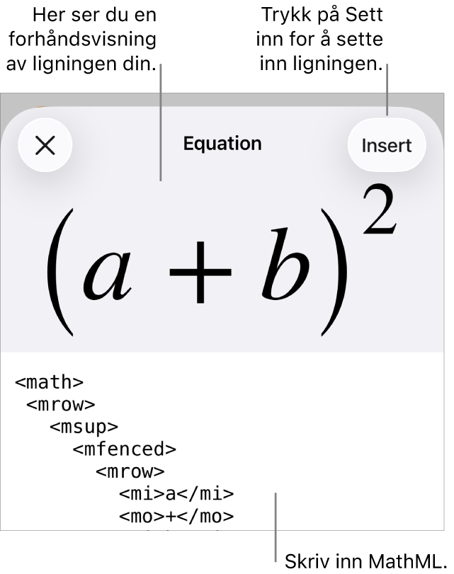 Ligning-dialogruten, som viser en formel skrevet med MathML-kommandoer, og en forhåndsvisning av formelen ovenfor.