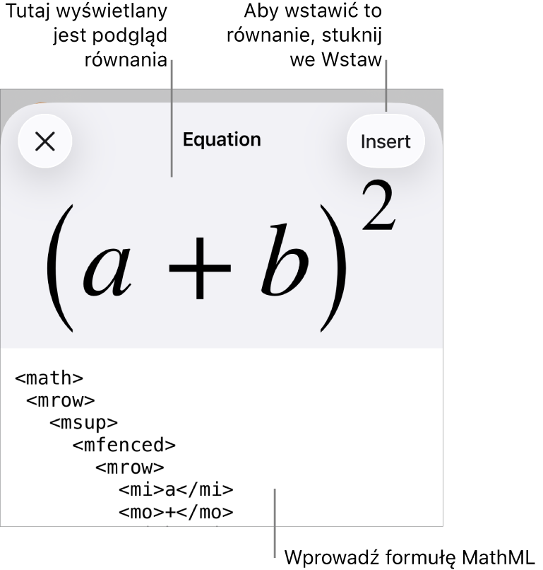 Pole dialogowe Równanie, zawierające równanie zapisane przy użyciu języka MathML. Powyżej widoczny jest podgląd tego równania.