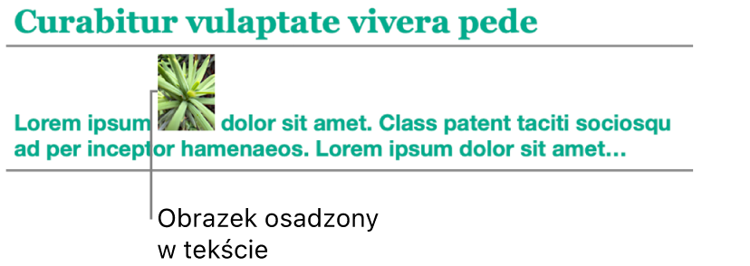 Obrazek osadzony w tekście.