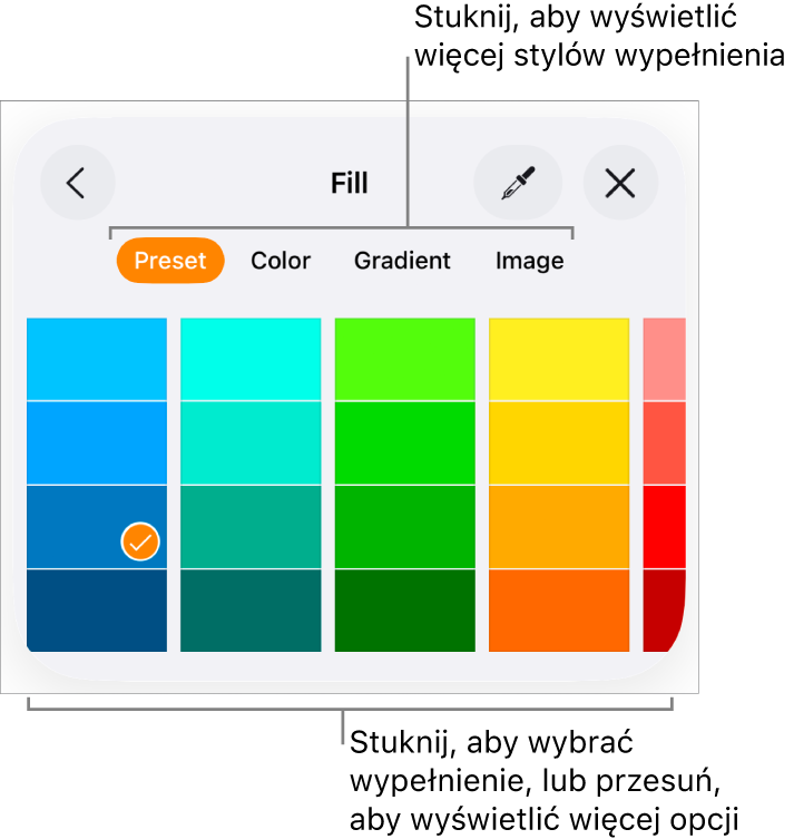 Opcje wypełnienia na karcie Styl na pasku bocznym Format.