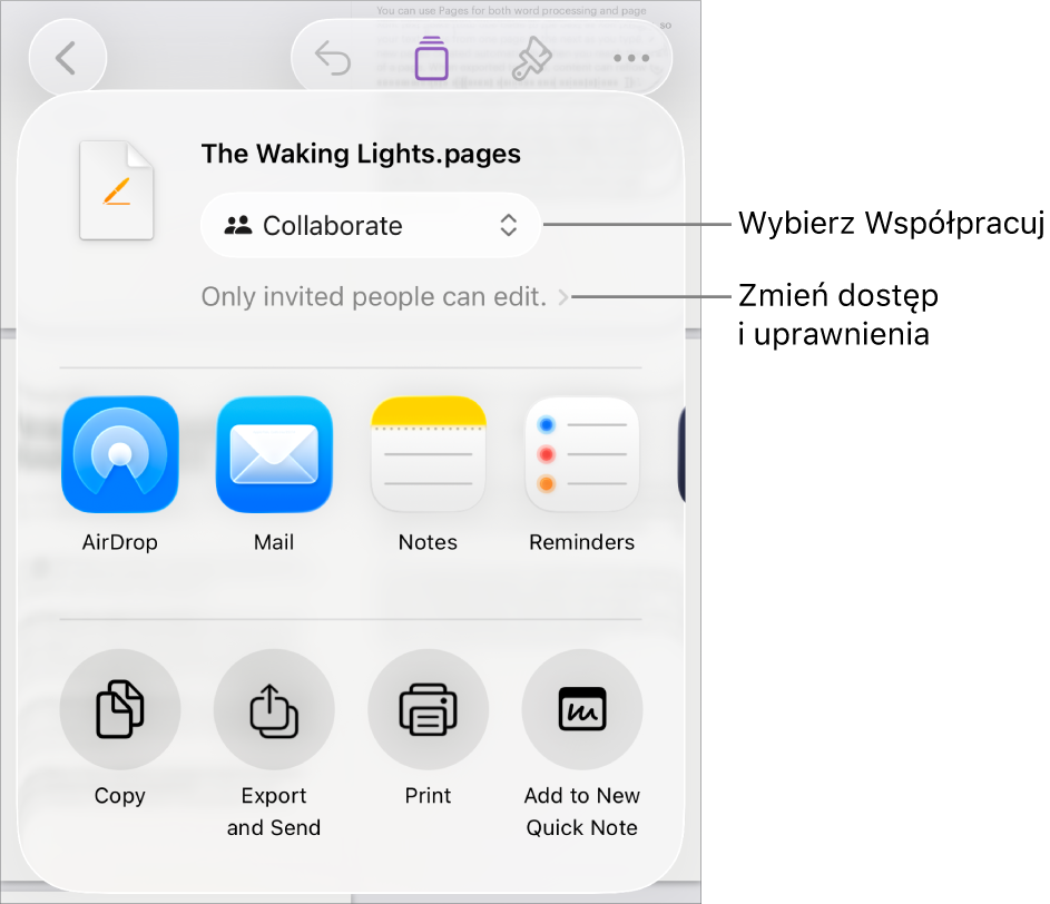 Menu udostępniania z opcją Współpracuj wybraną u góry oraz ustawieniami dostępu i uprawnień poniżej.
