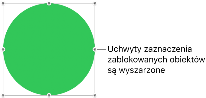 Zablokowany obiekt z wyszarzonymi uchwytami zaznaczenia.