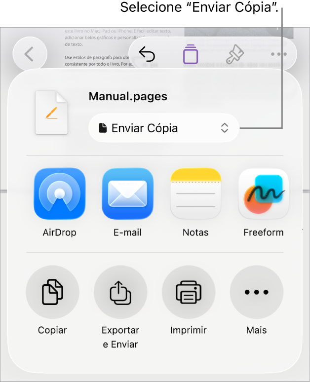 Menu Compartilhar com “Enviar Cópia” selecionado na parte superior.