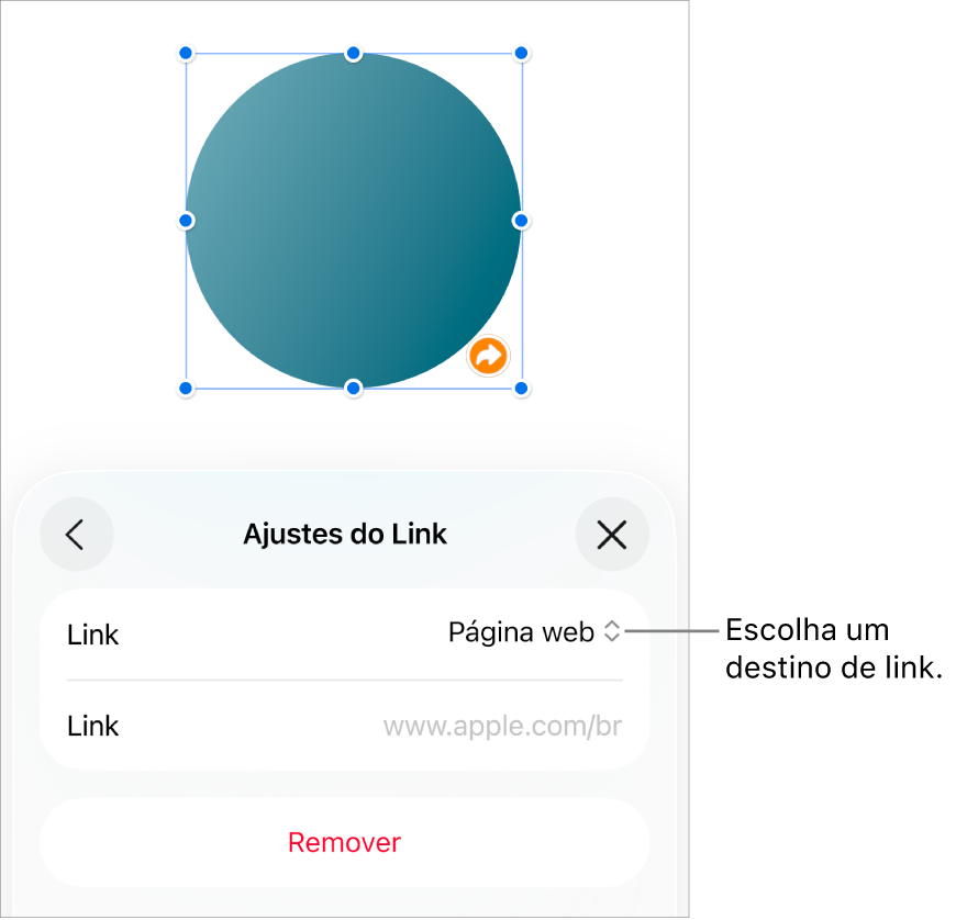 Controles de “Ajustes do Link” com Página Web selecionado e o botão Remover na parte inferior.