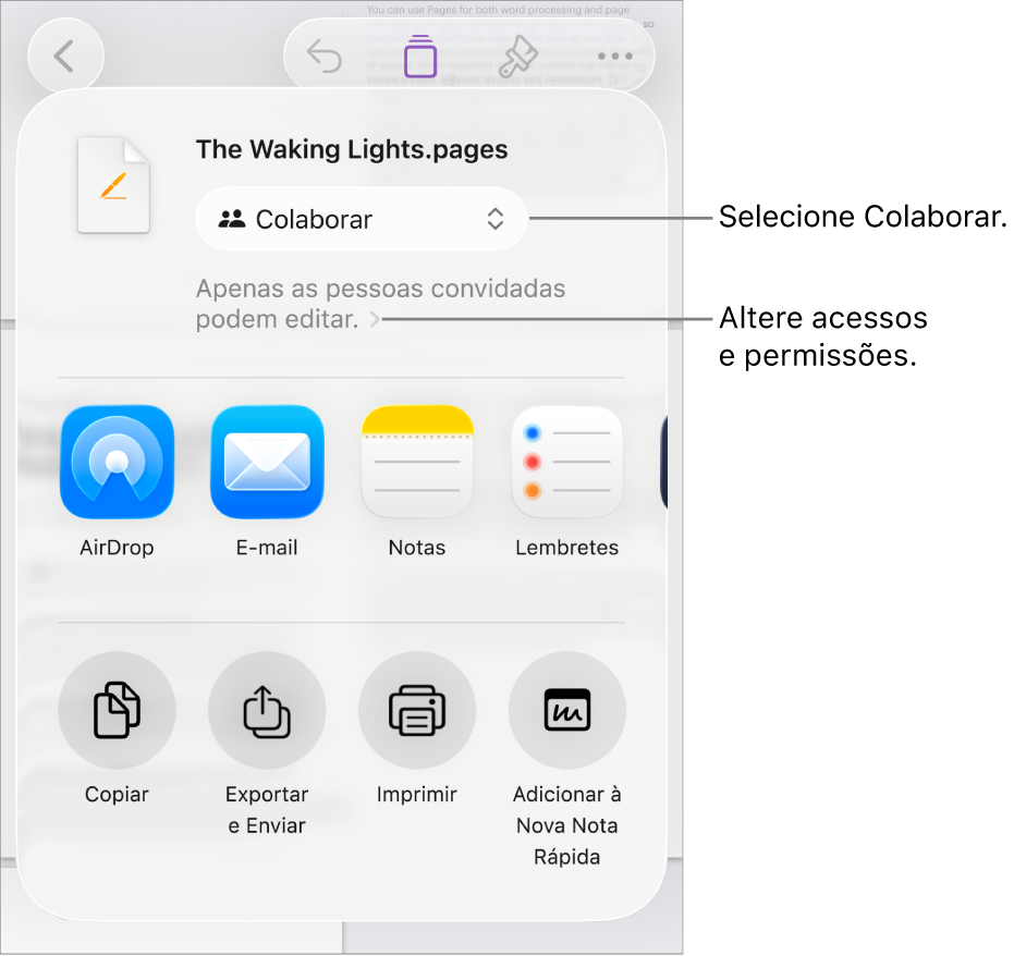 Menu Compartilhar com Colaborar selecionado na parte superior e os ajustes de acesso e permissão abaixo.