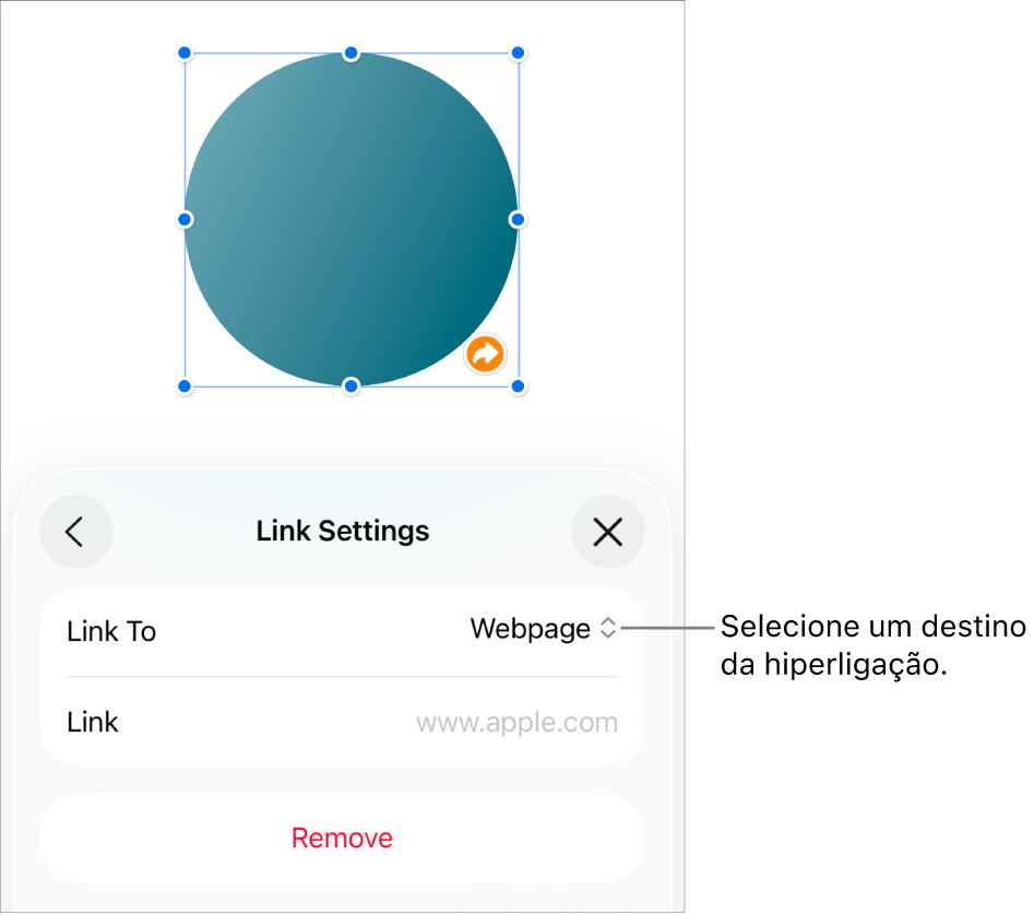 Os controlos “Definições” com a página web selecionada e o botão “Remover” na parte inferior.