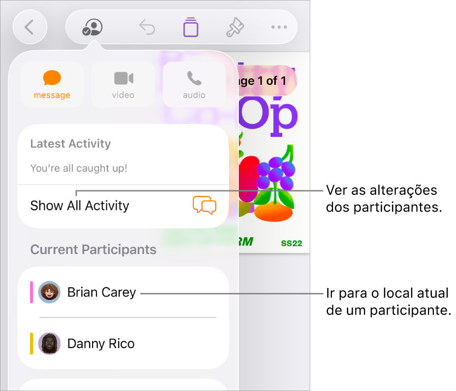 O menu de colaboração com os participantes atuais listados.