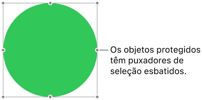 Um objeto protegido com puxadores de seleção esbatidos.