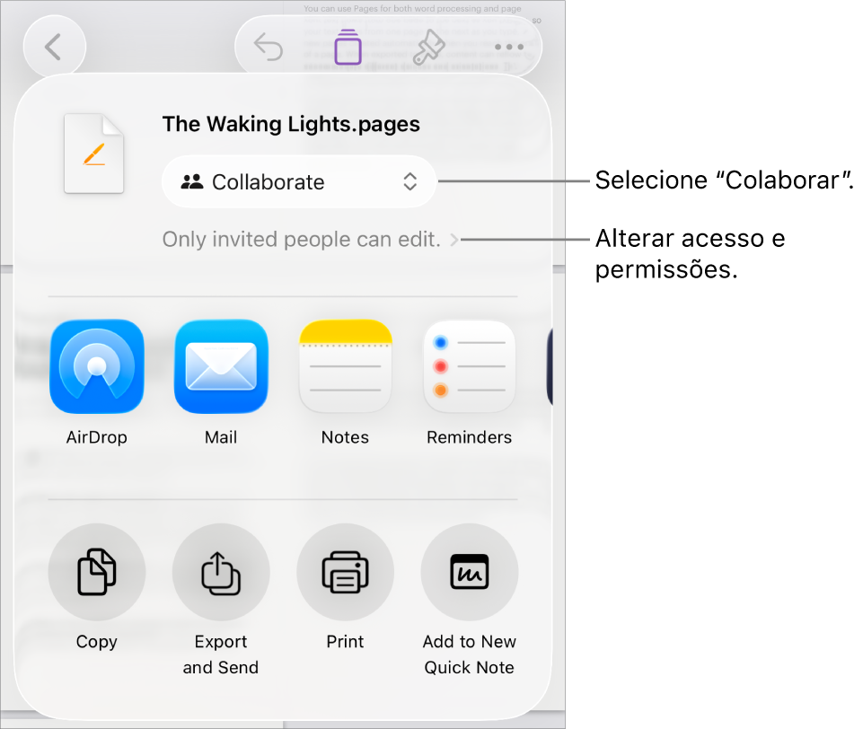 O menu "Partilha” com “Colaboração” selecionada na parte superior e as definições de acesso e permissão por baixo.