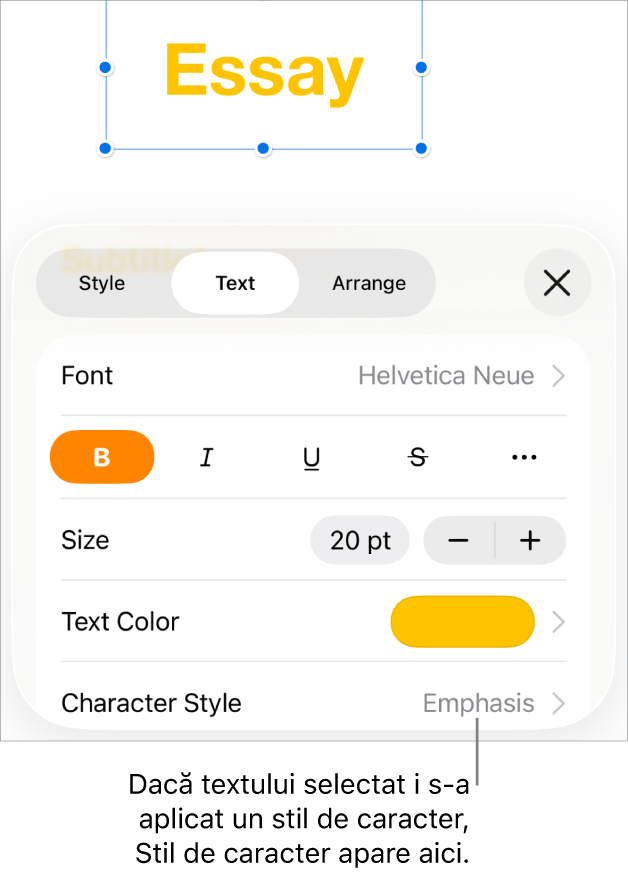 Comenzile de formatare Text cu Stil de caracter sub comenzile Culoare. Stilul de caracter Nimic apare cu un asterisc.