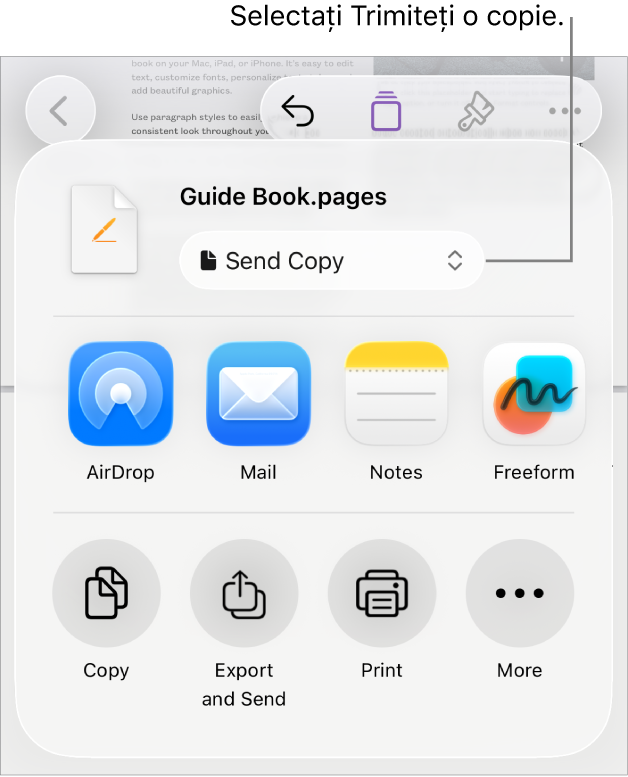 Meniul Partajează, cu opțiunea Trimite o copie selectată în partea de sus.