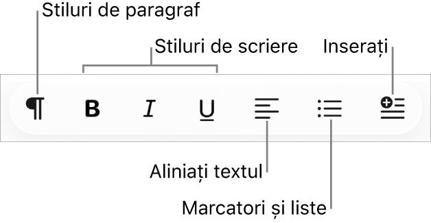 Bara de formatare rapidă prezentând pictogramele pentru stilurile de paragraf, stilurile de font, alinierea textului, marcatori și liste și inserarea elementelor.
