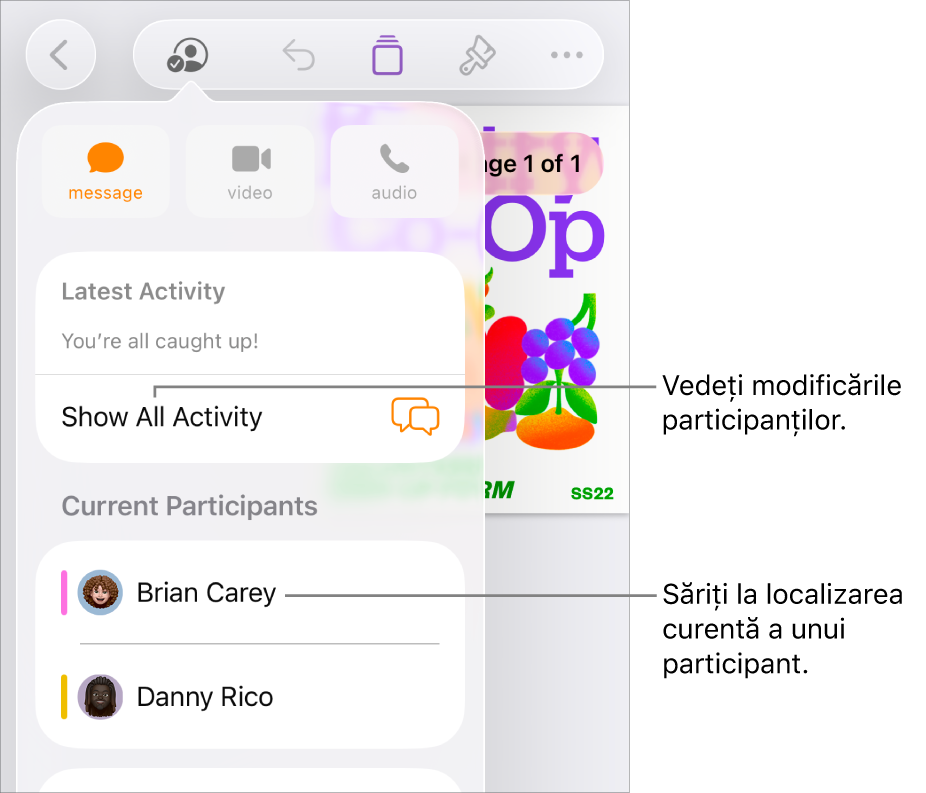 Meniul pentru colaborare cu participanții curenți listați.