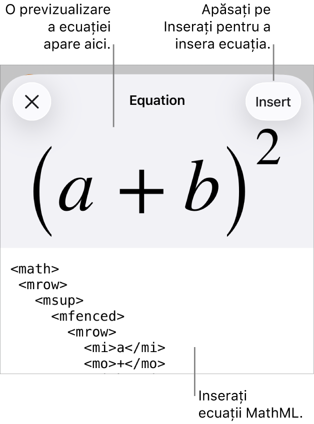 Caseta de dialog Ecuație, afișând o ecuație scrisă cu ajutorul comenzilor MathML și, deasupra, o previzualizare a formulei.