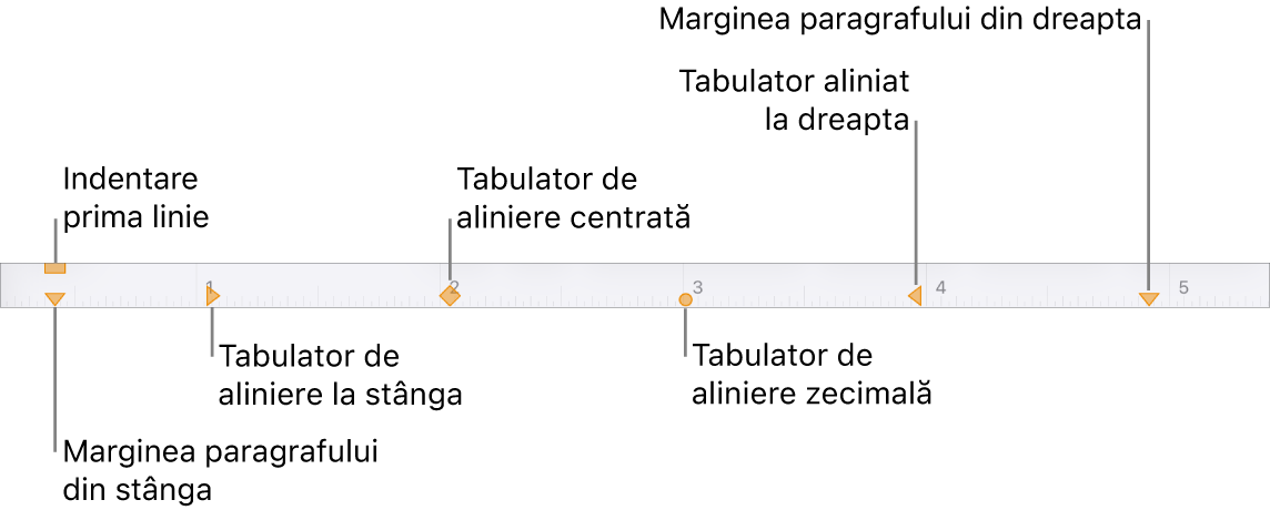Riglă afișând comenzile pentru marginile stângă și dreaptă, indentarea primei linii și patru tipuri de stopuri de tabulare.