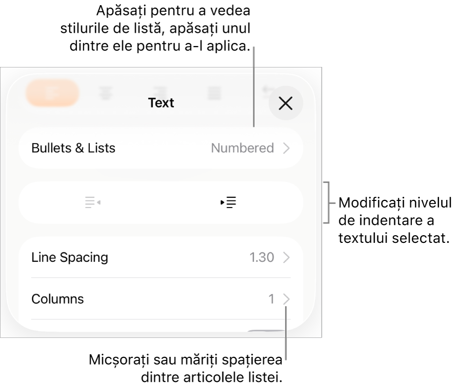 Secțiunea Marcatori/liste din comenzile Format cu explicații pentru Marcatori/liste, butoanele de indentare și indentare exterioară, precum și comenzile pentru spațierea liniilor.