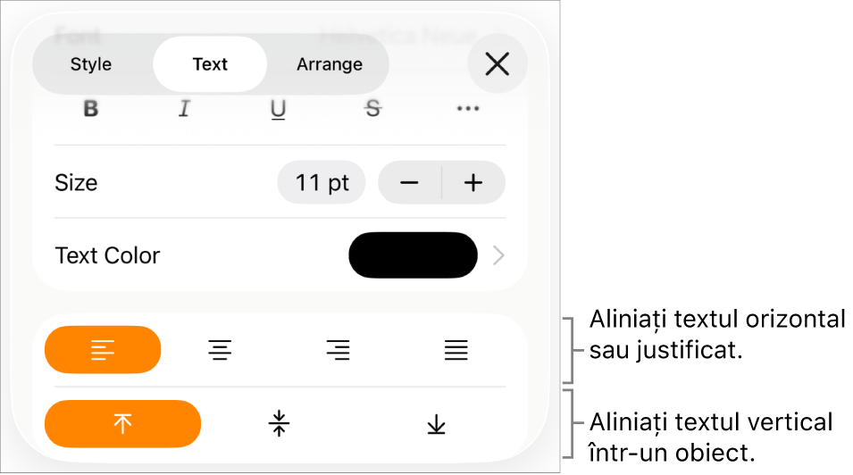 Panoul Aranjament cu explicații pentru butoanele de aliniere a textului și de spațiere.